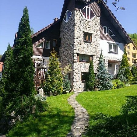 Pension Casa Contelui Rîşnov Buitenkant foto