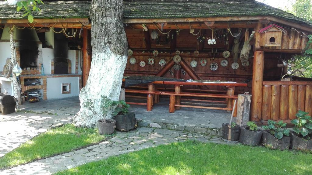 Pension Casa Contelui Rîşnov Buitenkant foto
