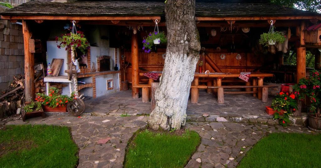 Pension Casa Contelui Rîşnov Buitenkant foto