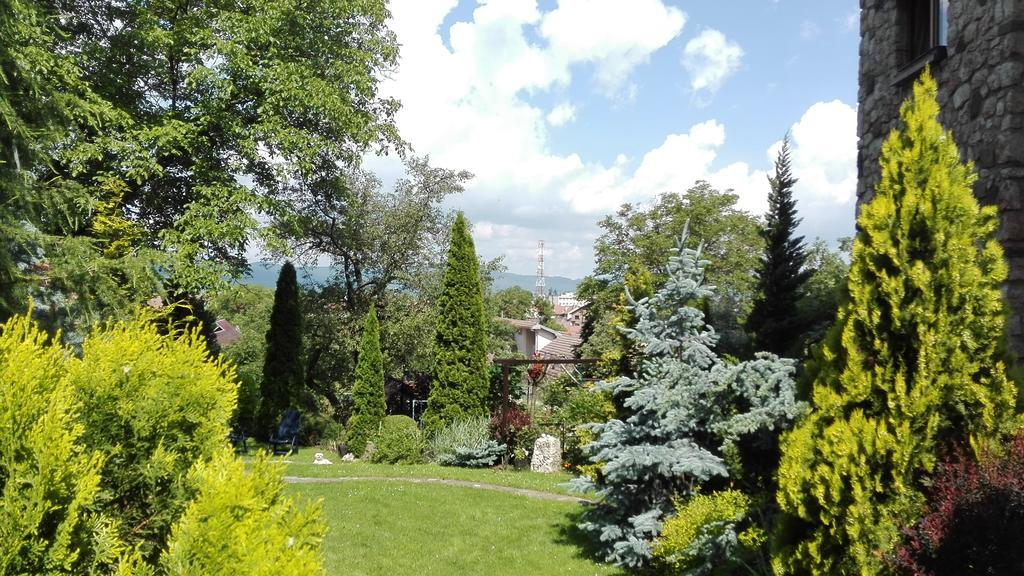 Pension Casa Contelui Rîşnov Buitenkant foto