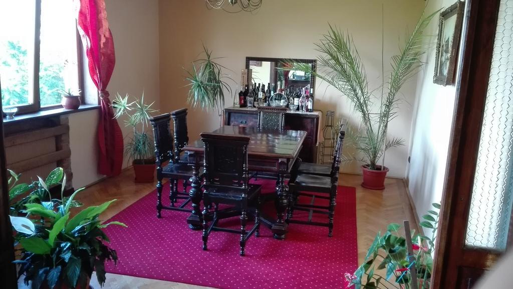 Pension Casa Contelui Rîşnov Buitenkant foto