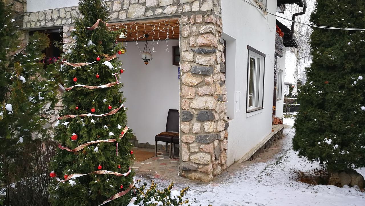 Pension Casa Contelui Rîşnov Buitenkant foto