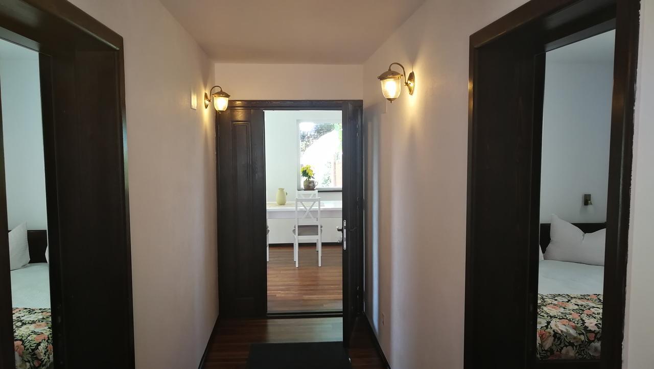 Pension Casa Contelui Rîşnov Buitenkant foto