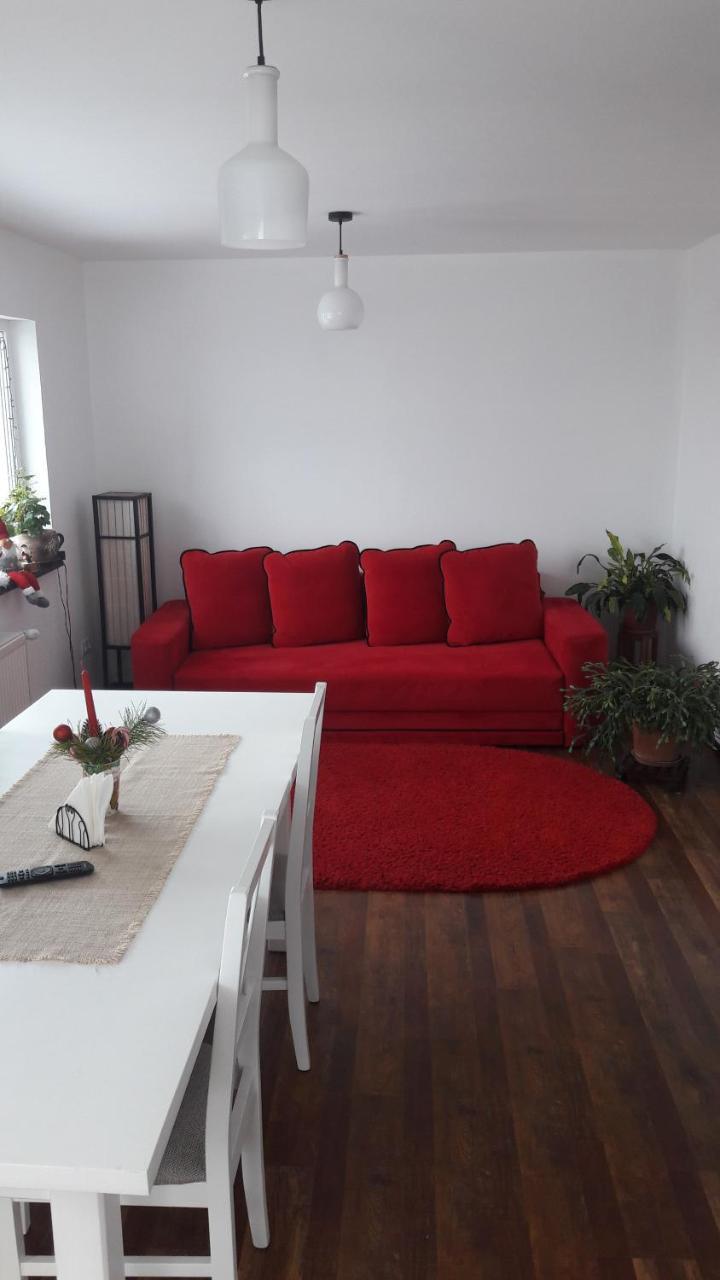 Pension Casa Contelui Rîşnov Buitenkant foto