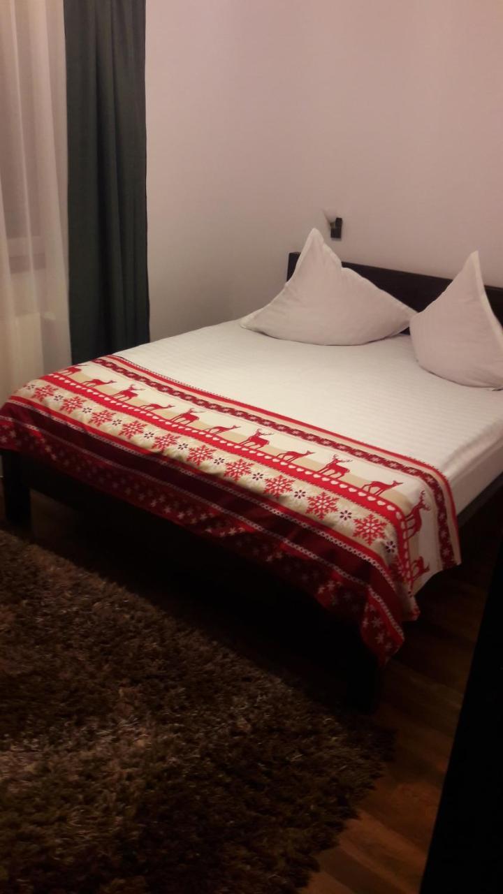 Pension Casa Contelui Rîşnov Buitenkant foto